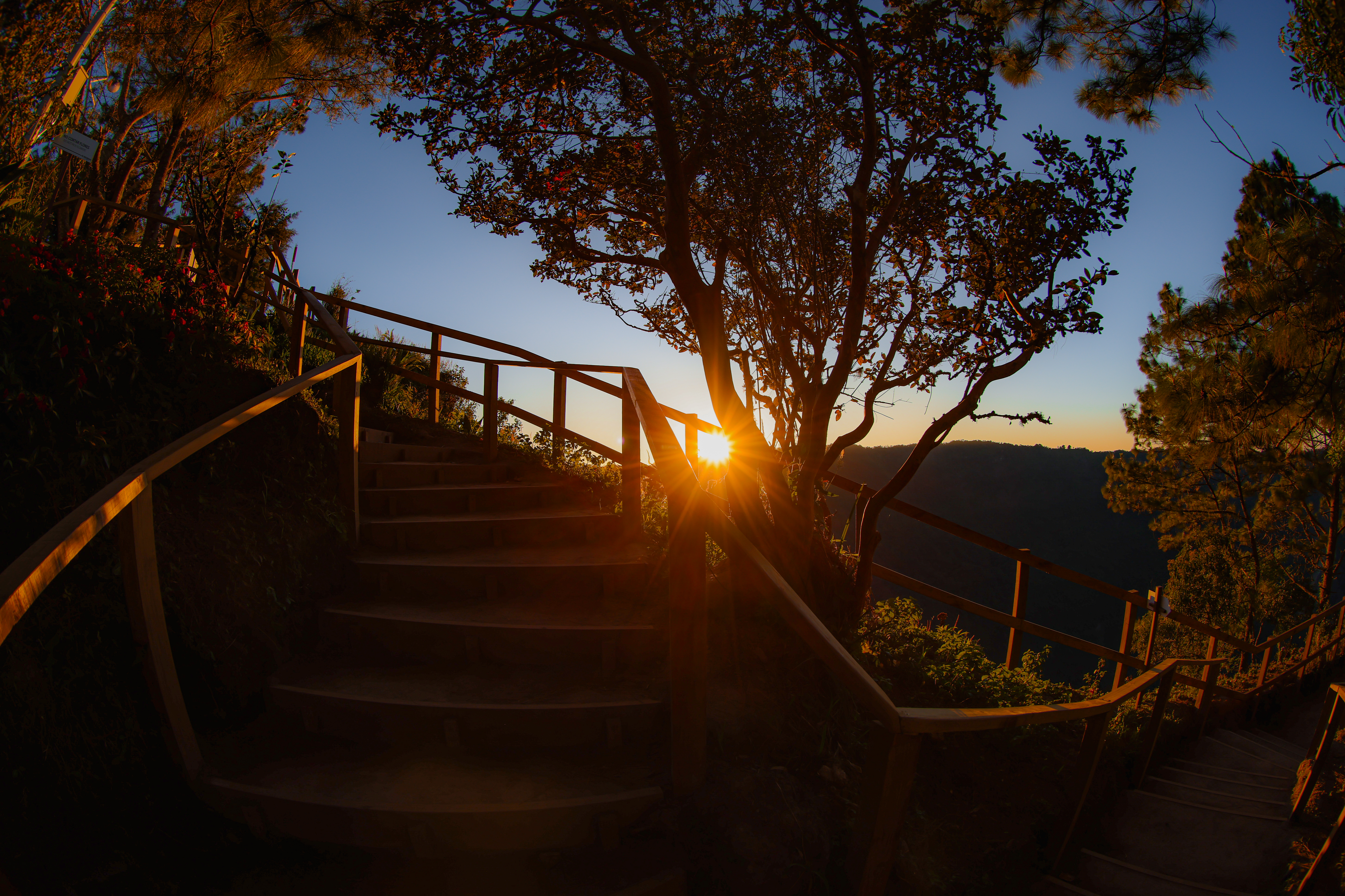 Photo from Parque Nacional El Boquerón